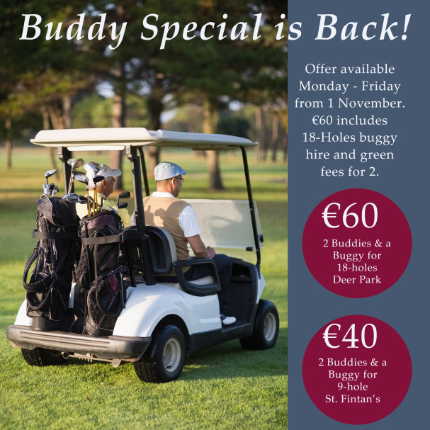 Buddy Special Website 1