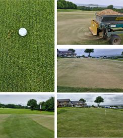 Greens Fairways