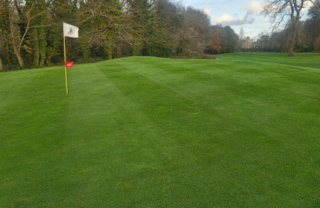 f106cd35 c595 41e2 a9fd ace81cbf0502