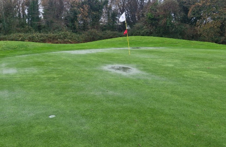 afbf6ee3 e230 4fb9 b451 31219c9b18b7